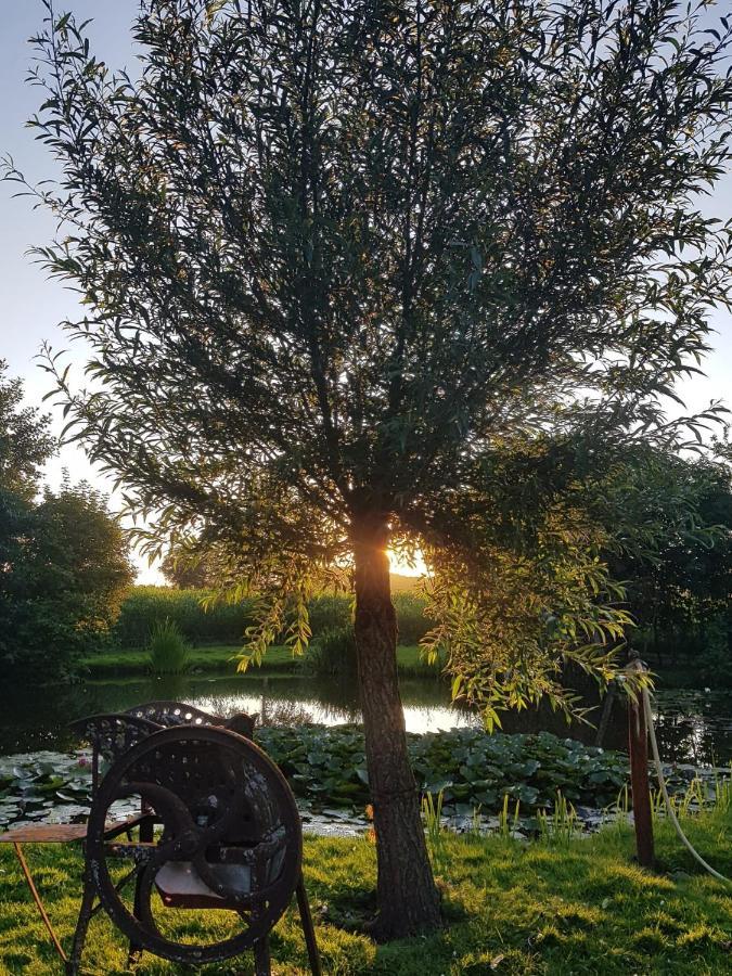 Apartmán Op Ut Schoor Sint-Oedenrode Exteriér fotografie