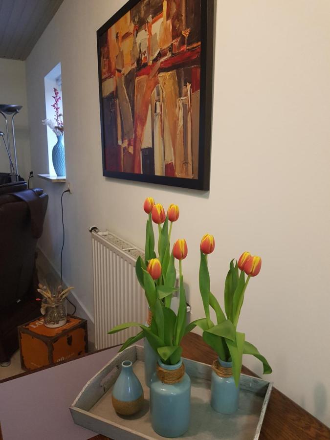 Apartmán Op Ut Schoor Sint-Oedenrode Exteriér fotografie